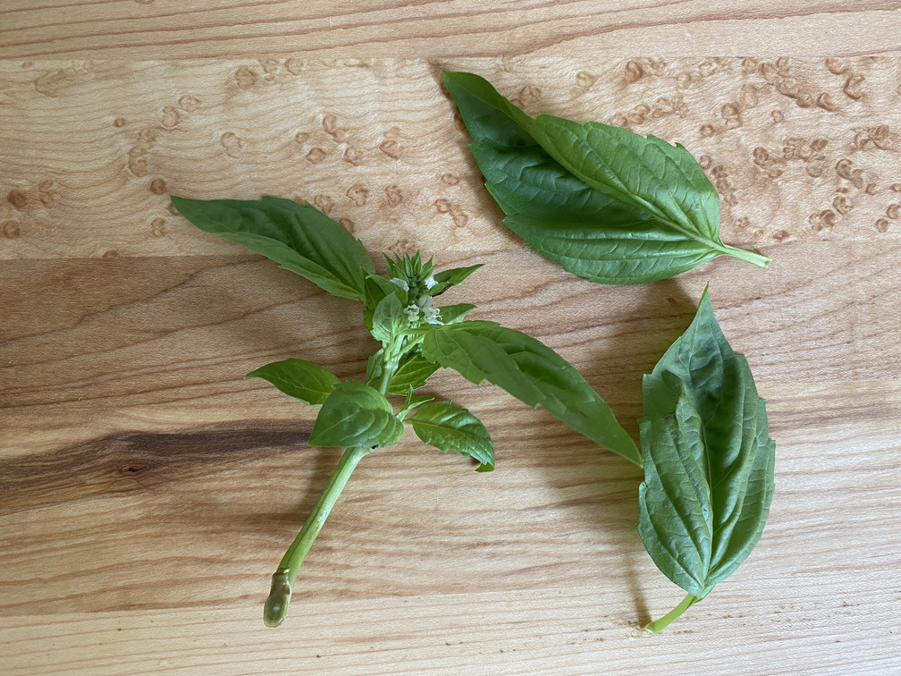 basil cutting on maple board