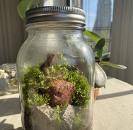 mason jar terrarium